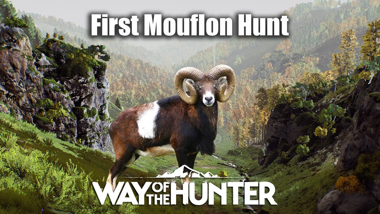 Way Of The Hunter - First Mouflon Hunt