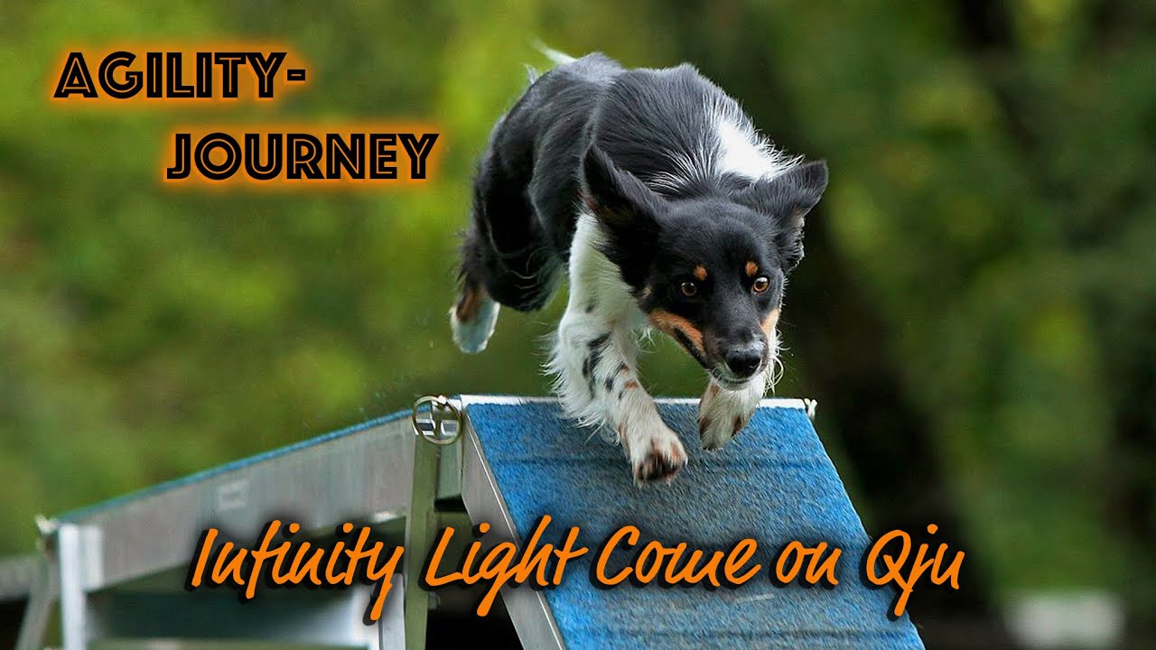 ✨ Agility Journey ✨ - Infinity Light Come on Qju & Mona Grefenstein