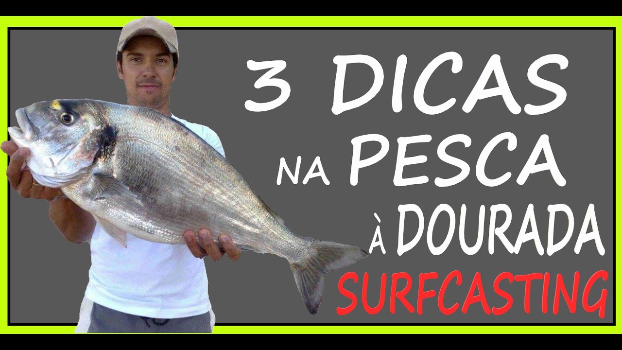 Dicas importantes na Pesca da Dourada