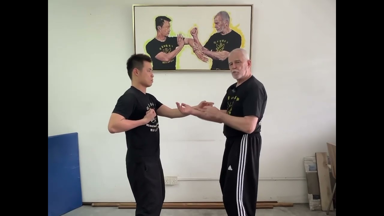 ‘WSL Ving Tsun Kuen Hok’ - breaking it down 