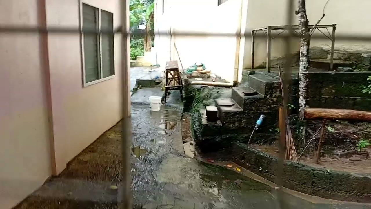 Maulanon nga adlaw kag magluto ng panyaga 