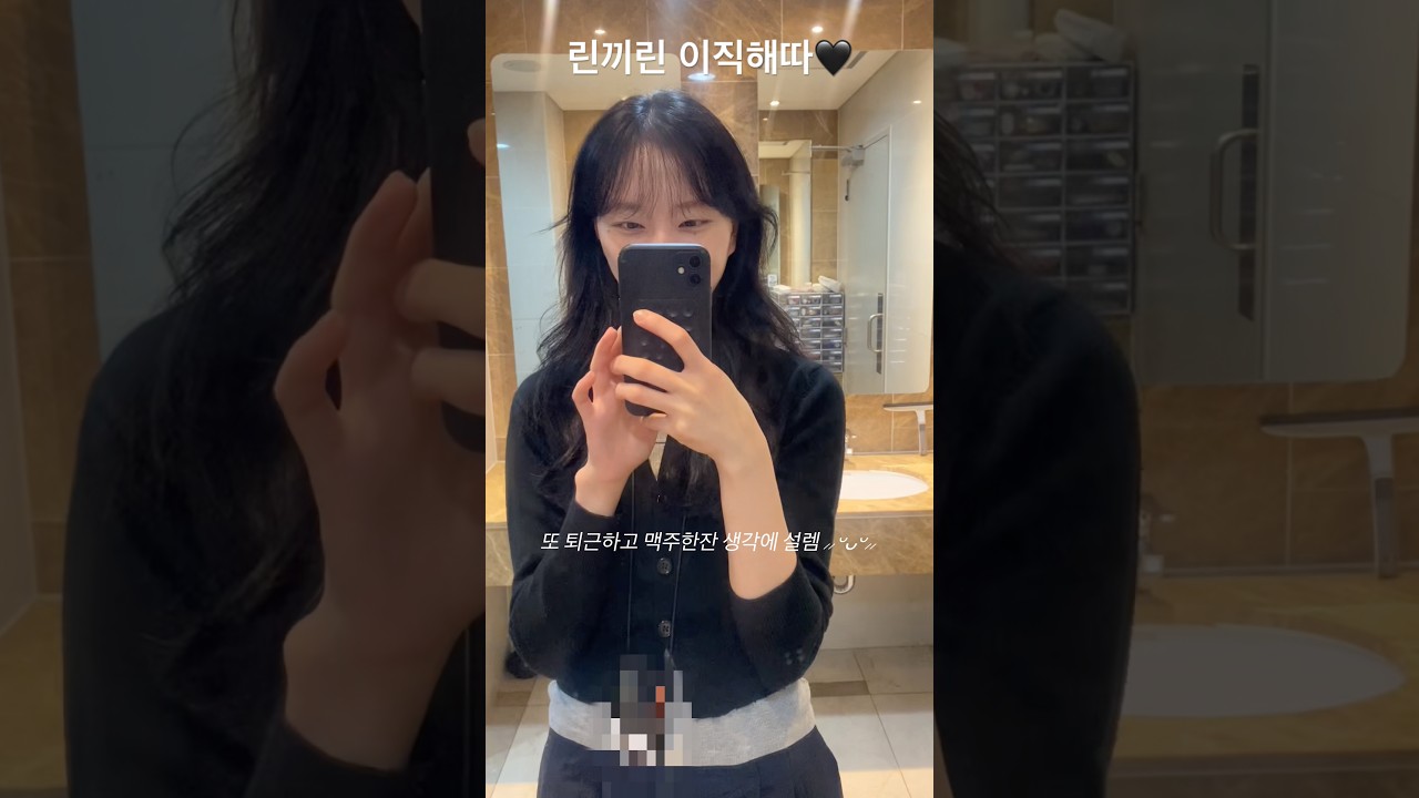 린끼린 근황 브이로그(1) : 개발자 .. IT컨설턴트로 이직하다