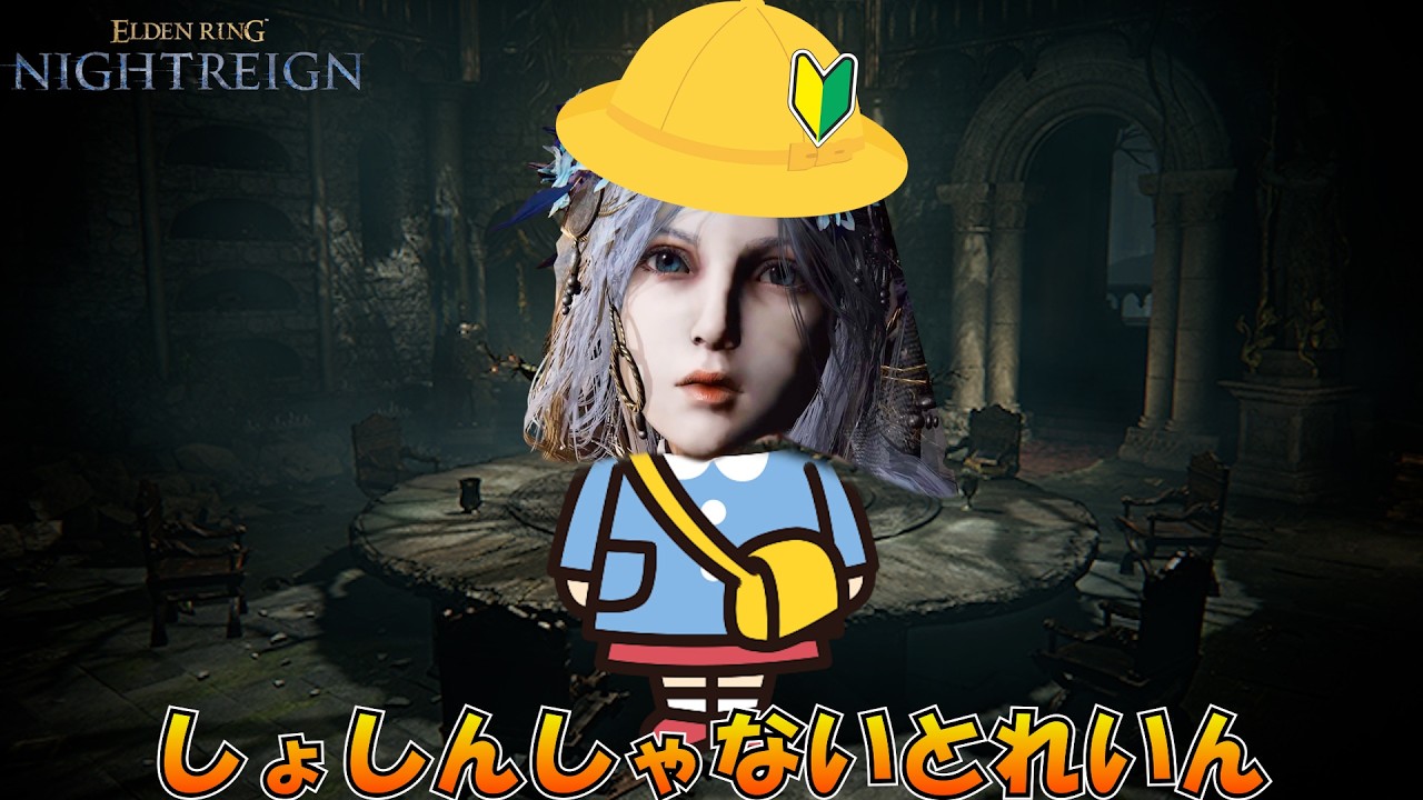初心者ナイトレインで楽しもう！！【ナメレス未撃破の人限定】