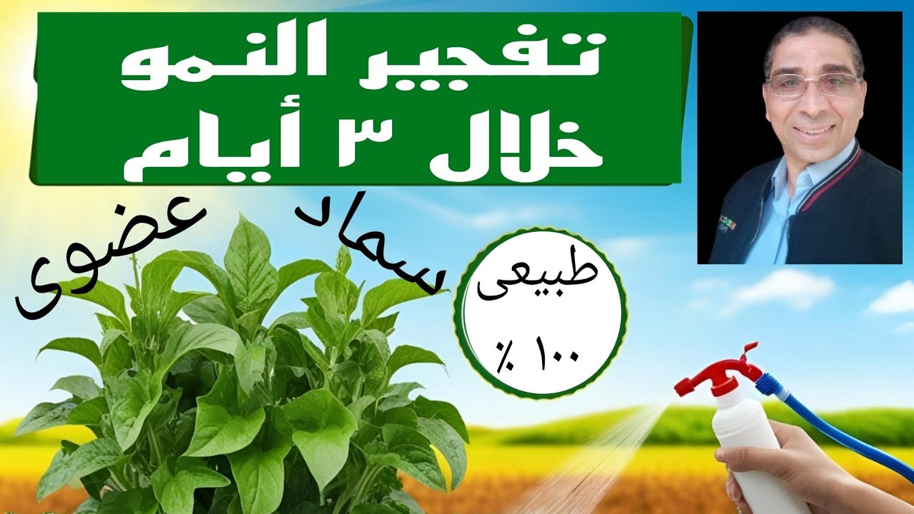 أقوى سماد عضوي طبيعي لتفجير النمو الخضري خلال 3 أيام فقط! النتيجة مذهلة!