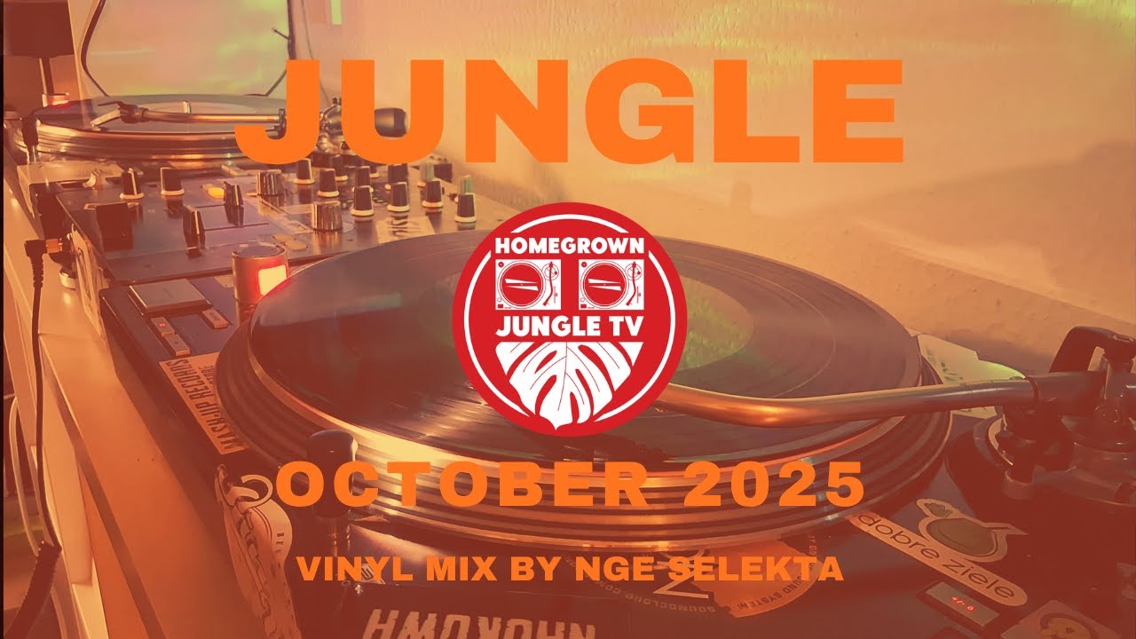 Jungle, October 2025