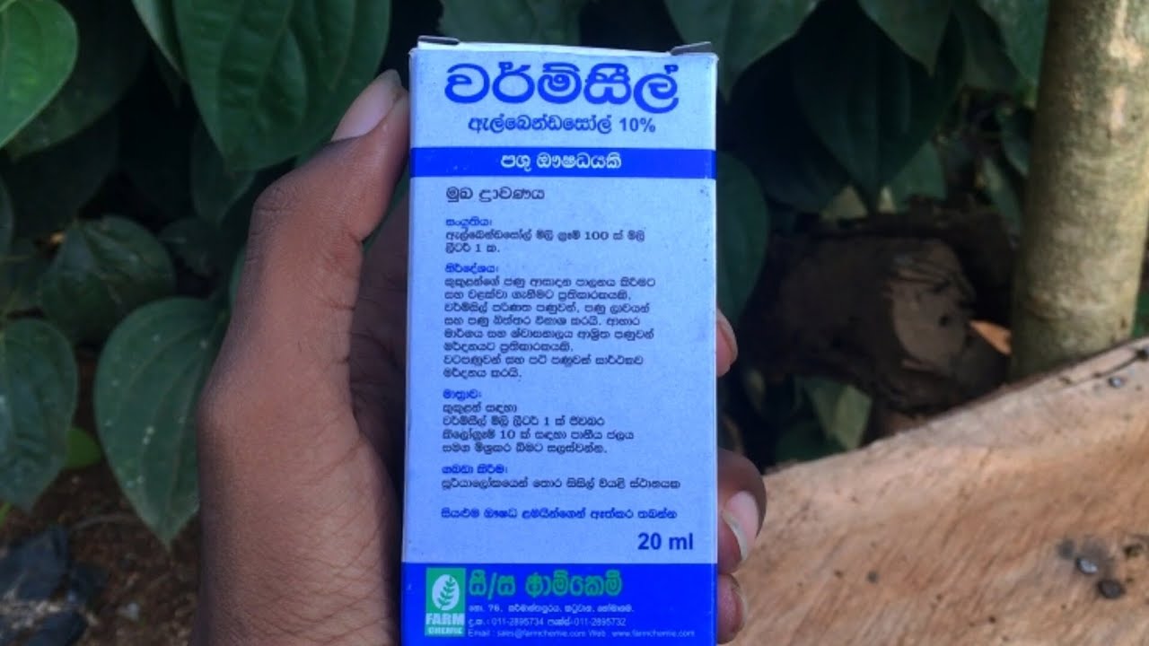 ගං කුකුලන්ට හරි විදියට පණු බෙහෙත් දෙමු | himasara farm | #srilanka