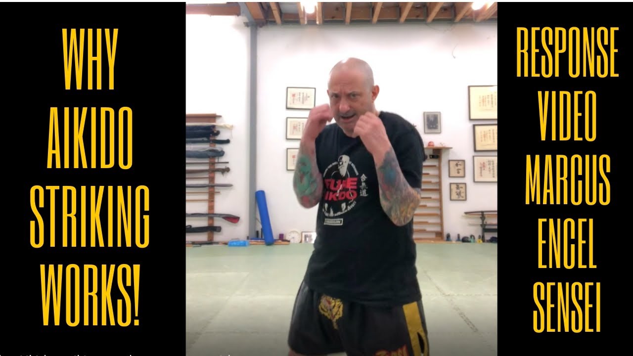 Why AIKIDO STRIKING WORKS | RESPONSE VIDEO | Marcus Encel sensei