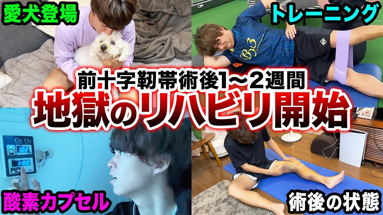【完全密着】激痛のリハビリ•地獄のトレーニングが始まりました。【膝の大怪我から最強になって復活する男の物語#4】