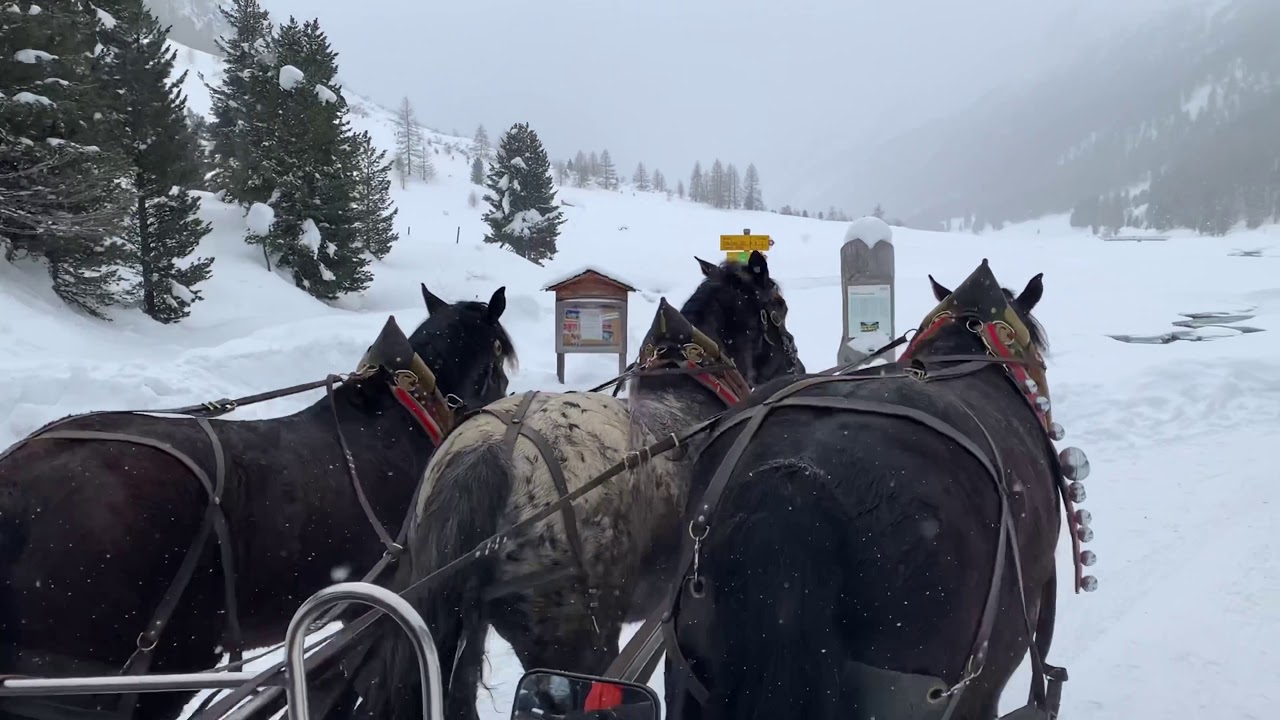 Pontresina (Roseg Pferdeomnibus)