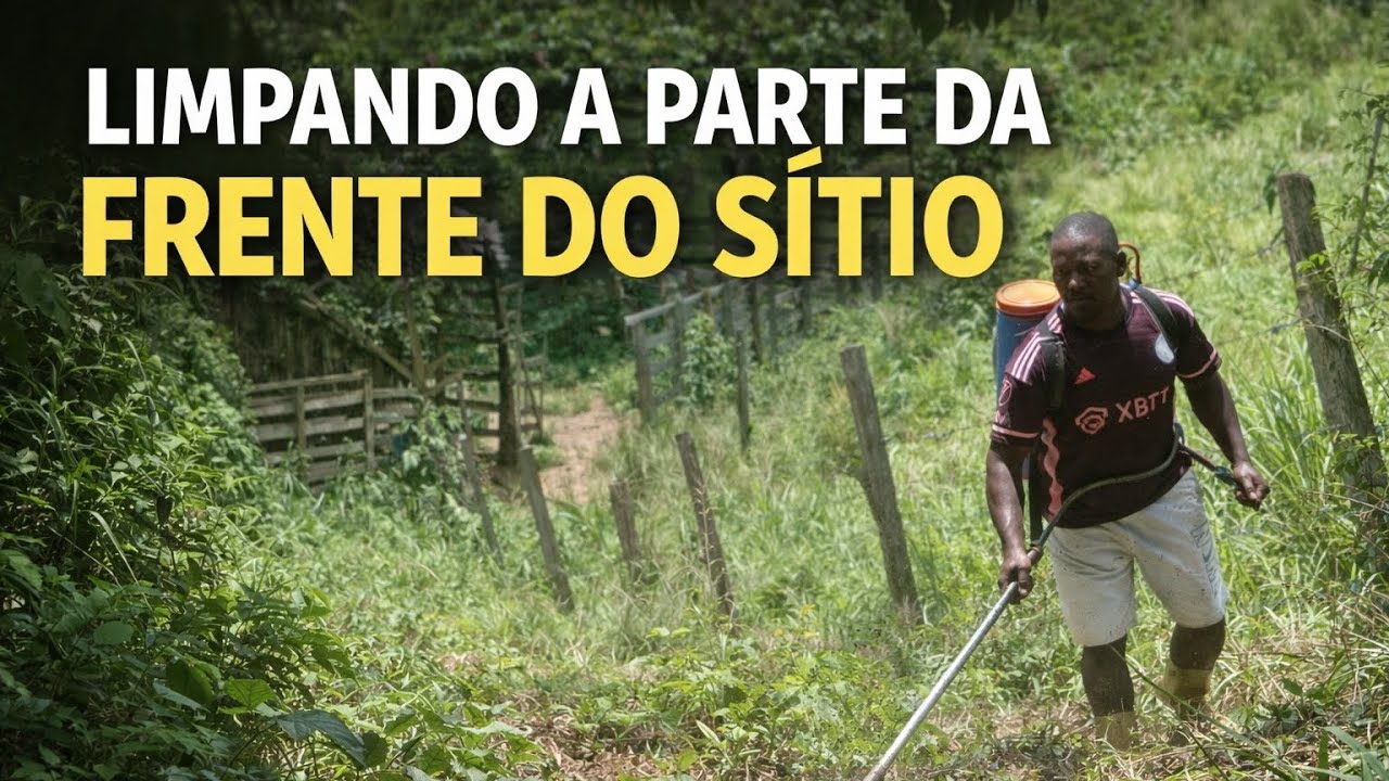 Vamos aumentar a plantação de milho?