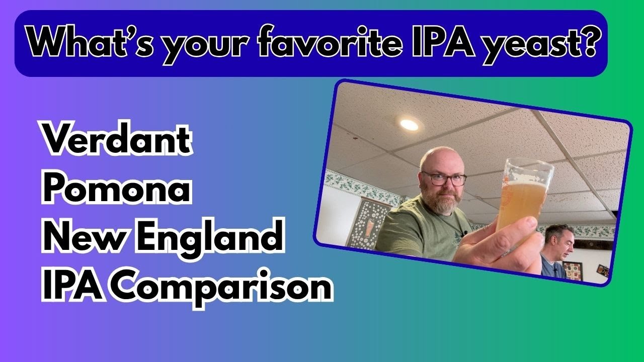 Pomona vs. Verdant vs. NE IPA Yeast SHOWDOWN - Brew Dudes