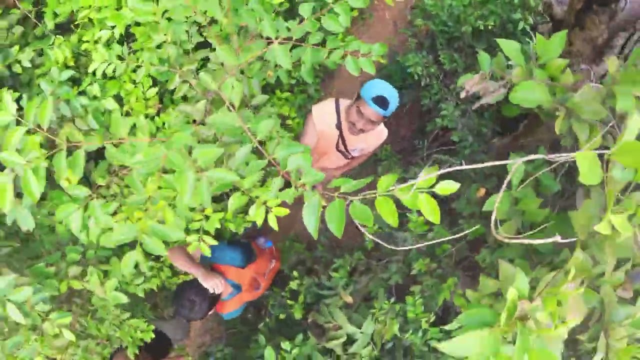 Gokarna Beach Forest Trek at Dawn | Explore Nature's Hidden Trails