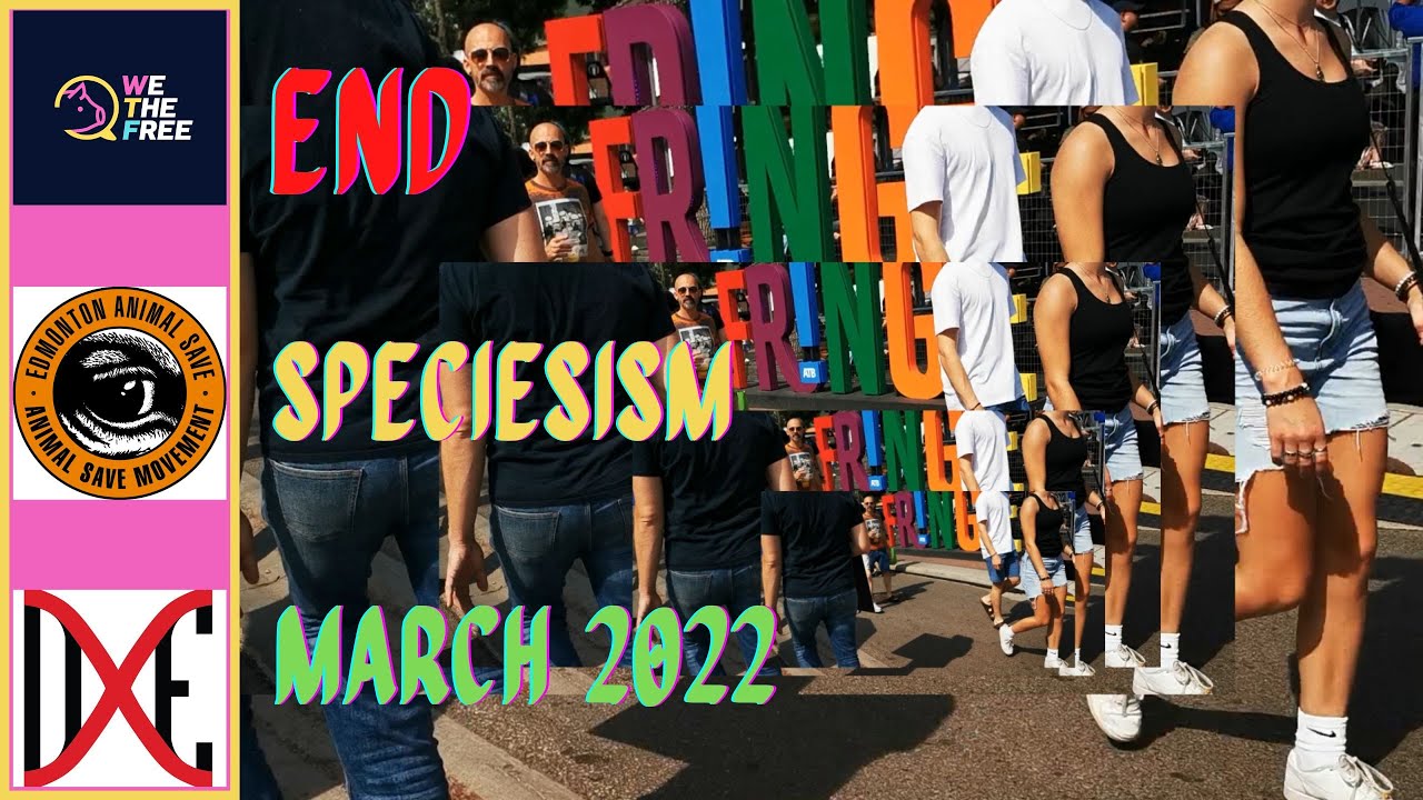 End Speciesism March #veganfortheanimals  #endspeciesism #speciesism