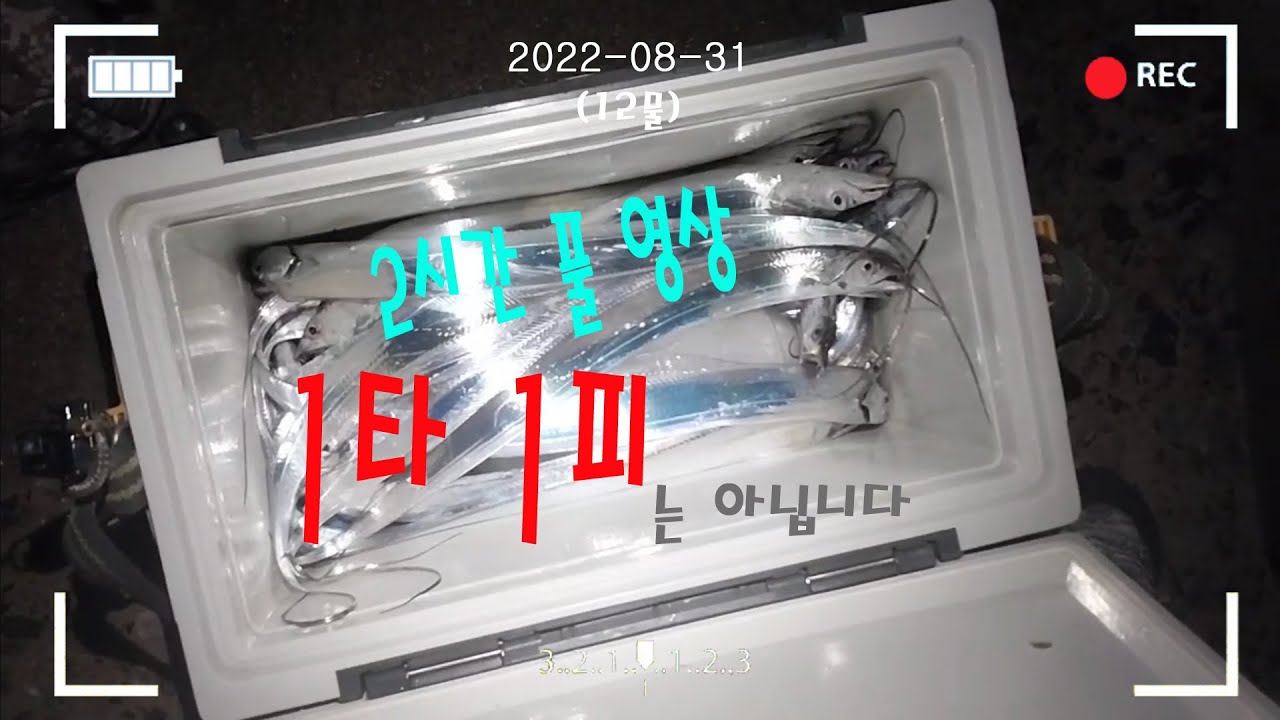 [ 남해갈치 ] 갈치 리얼 2시간 낚시 ( 바디캠 ) 2배속으로 보면 더 꿀잼