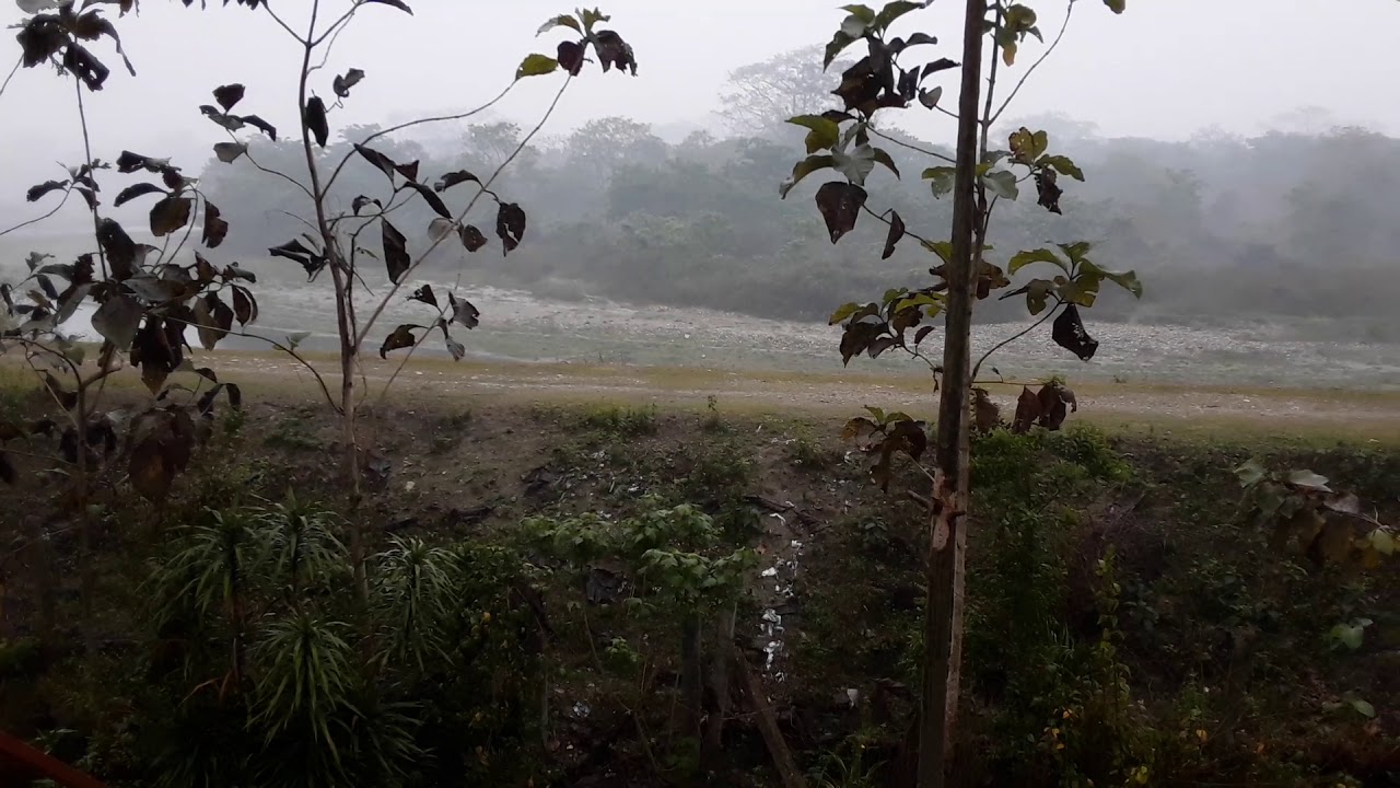 Sisamara - The Wilderness Wonder of Dooars