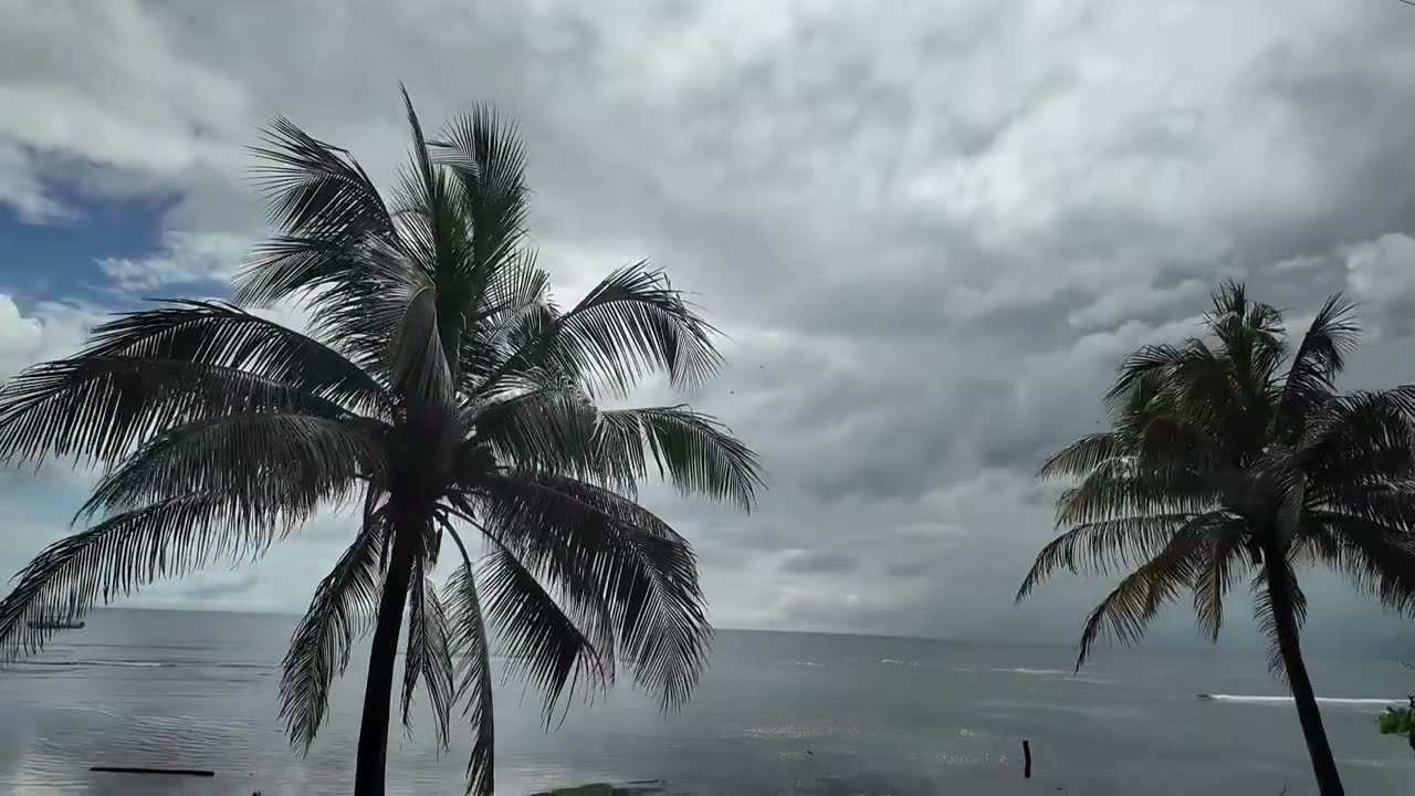 Roatán Honduras Island Drive | See What Roatán Really Looks Like