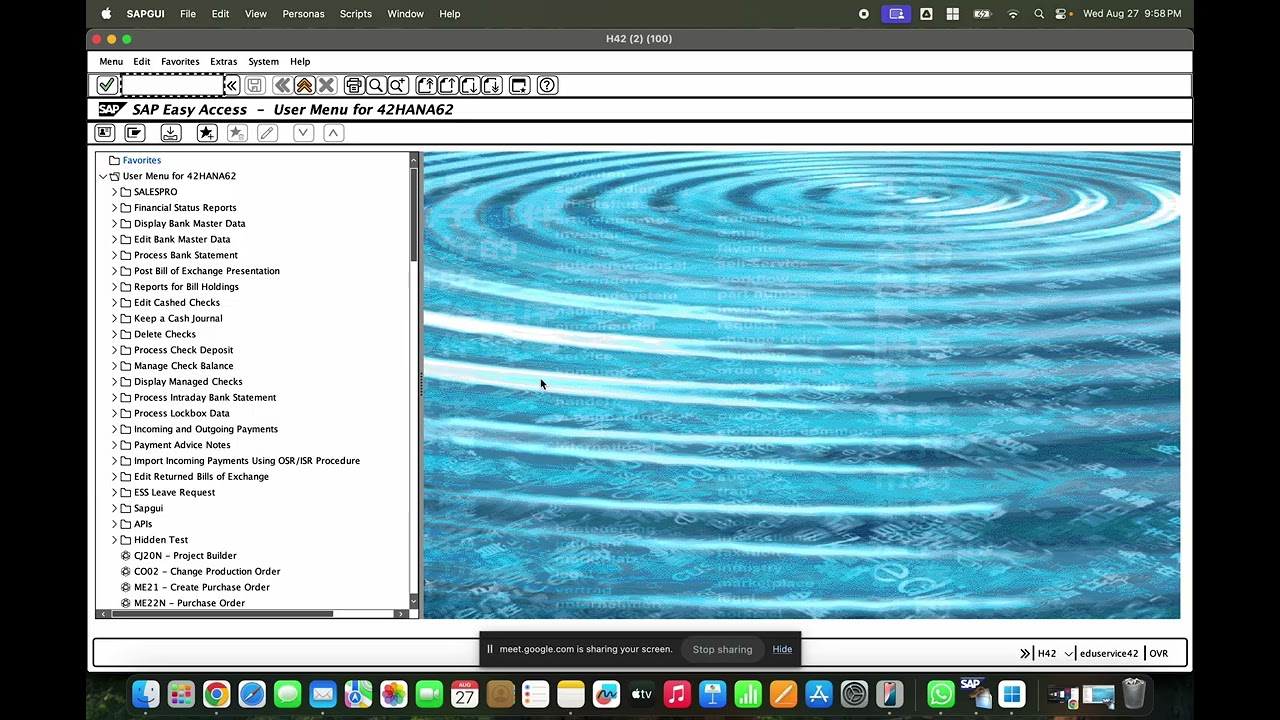 Self learning SAP MM Class videos from RD: Transfer posting and Stock Transfer