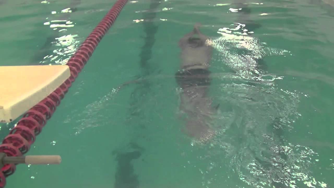 Form Drag