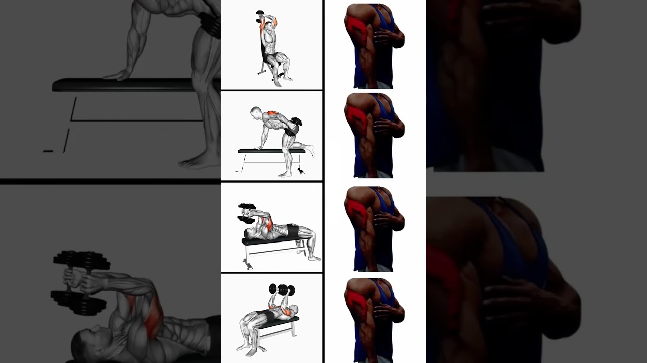 Ultimate Dumbbell Tricep Exercises #shorts