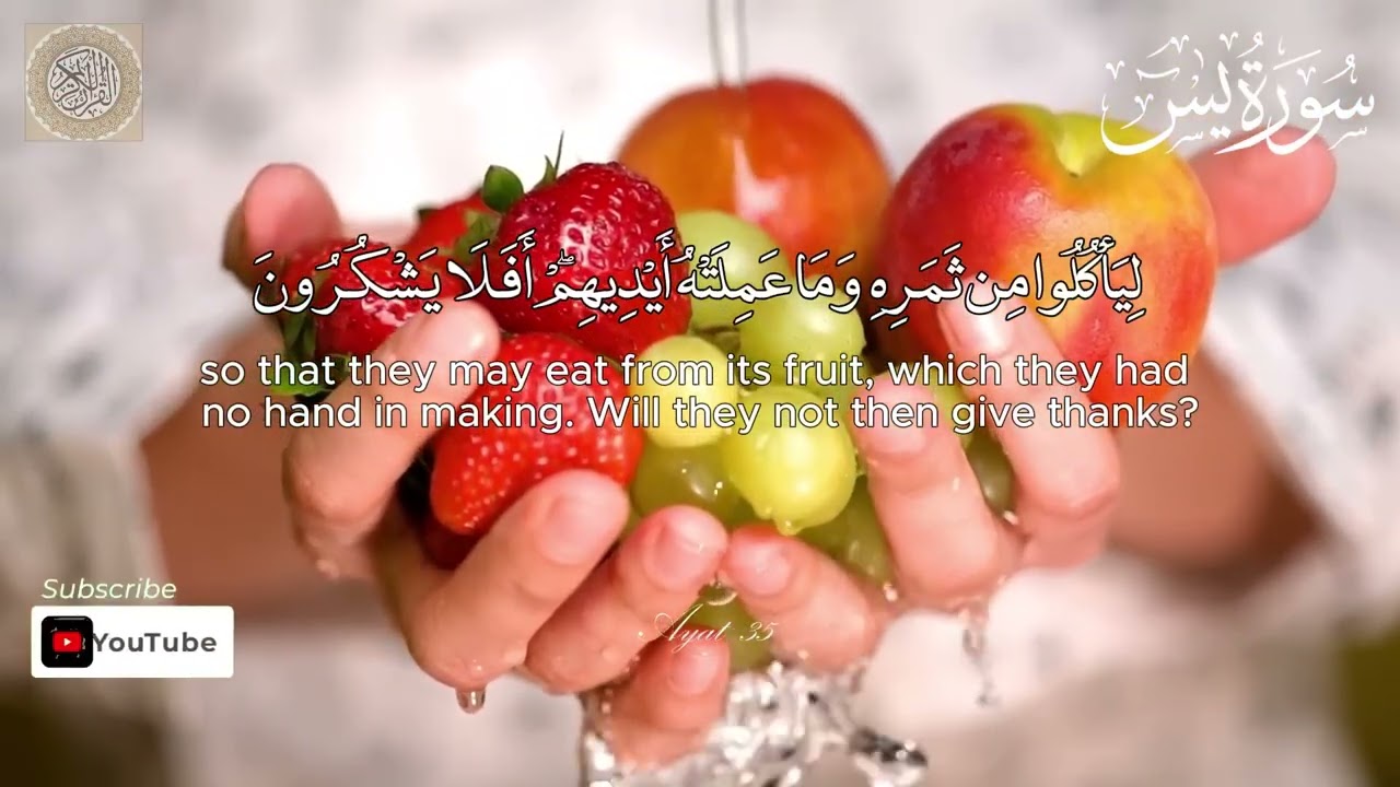 Surah yaseen full tilawat||yaseen||tilawat ||Arabic English translate #duet #surahyaseen #surah 
