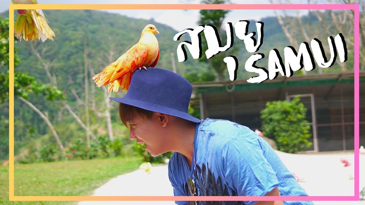 ทริปแบร์ฮัก รักสมุย ลุยหาดฝรั่ง by Centara Grand beach resort Samui