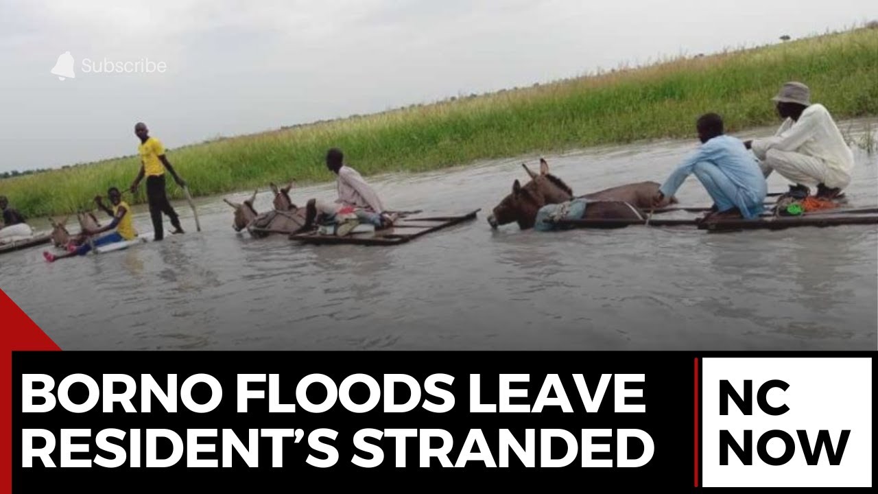 Severe Flooding Strands Residents in Borno State | Maiduguri-Damaturu Road Cut Off