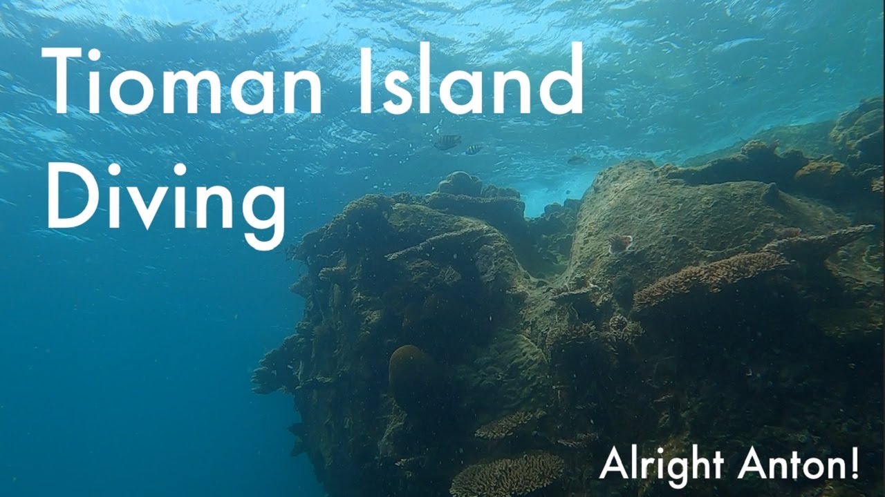 Tioman | Island Hopping Tour | Diving&nbsp; | Malaysia | 2020