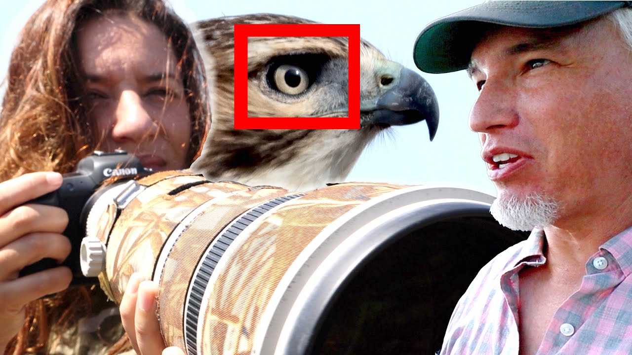 Canon EOS R5 & R6 Animal AF BLOWS MY MIND! (Wildlife review)