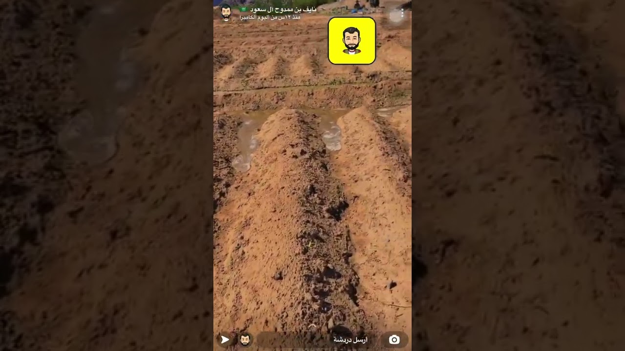الأمير نايف بن ممدوح بن عبدالعزيز ال سعود سنابات جميله
