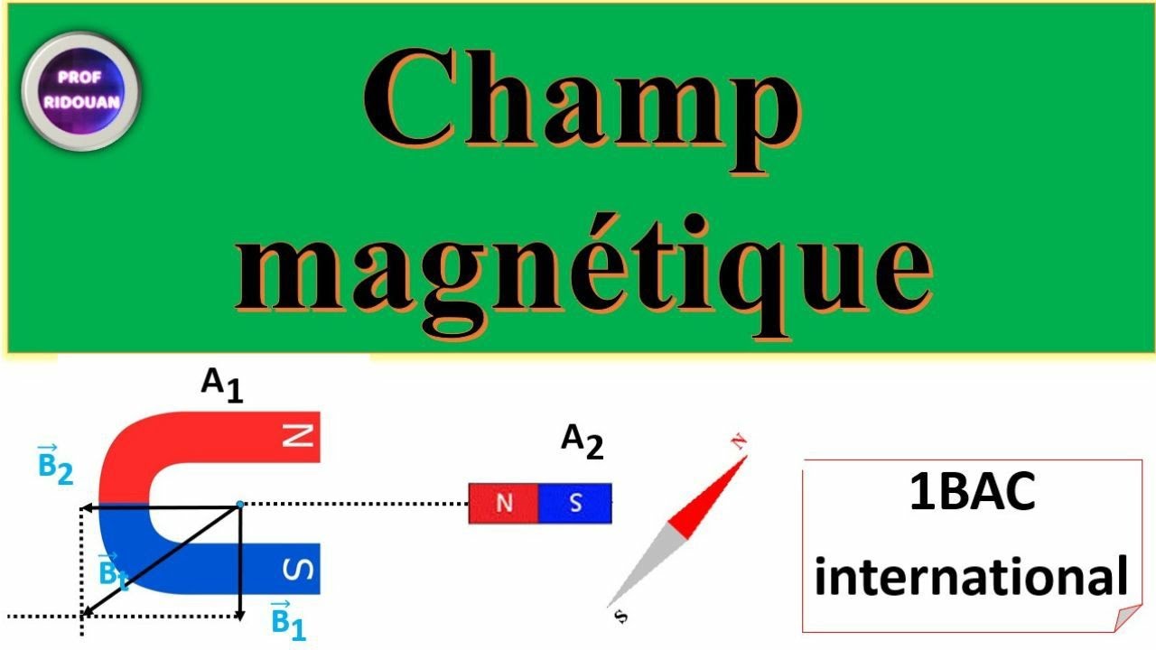 champ magnétique résumé+exercices corrigés 1Bac