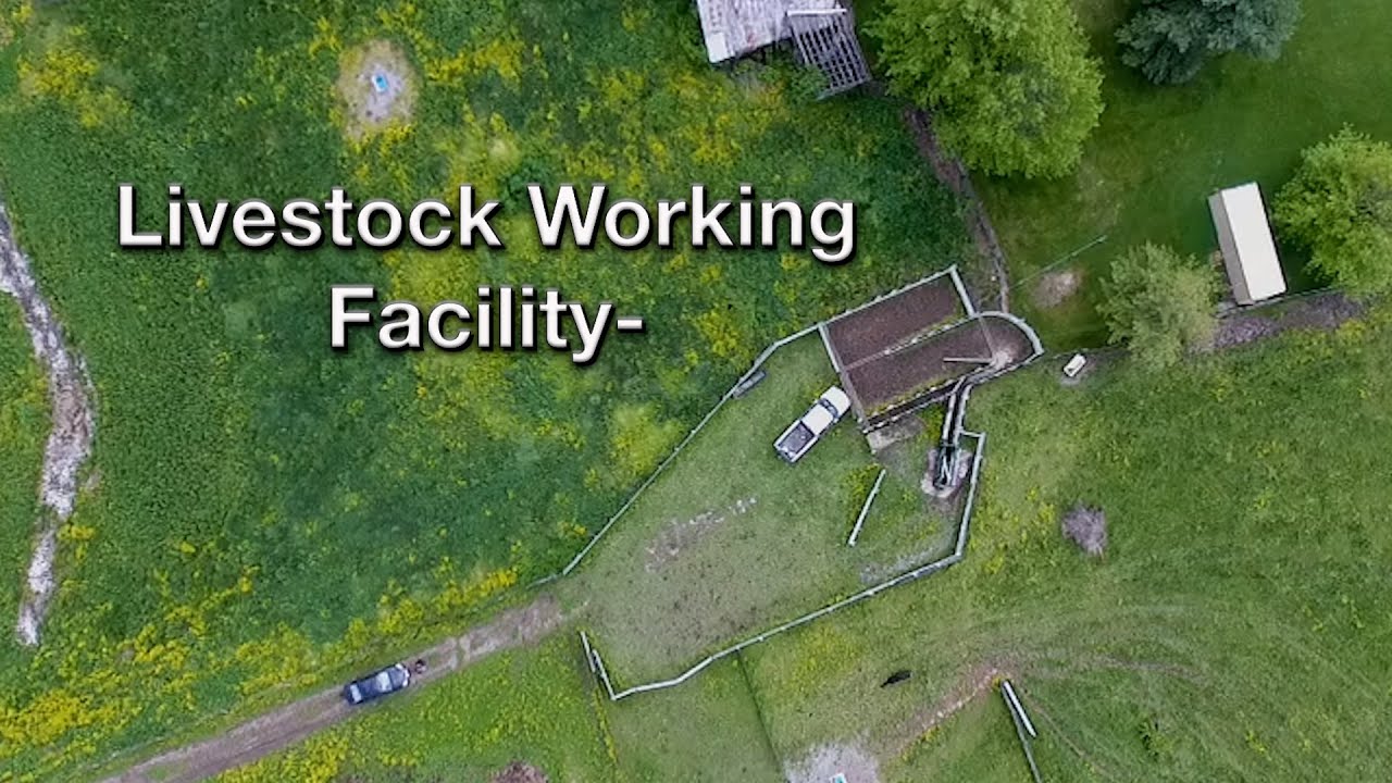 Livestock Working Facility- Site & Design Considerations