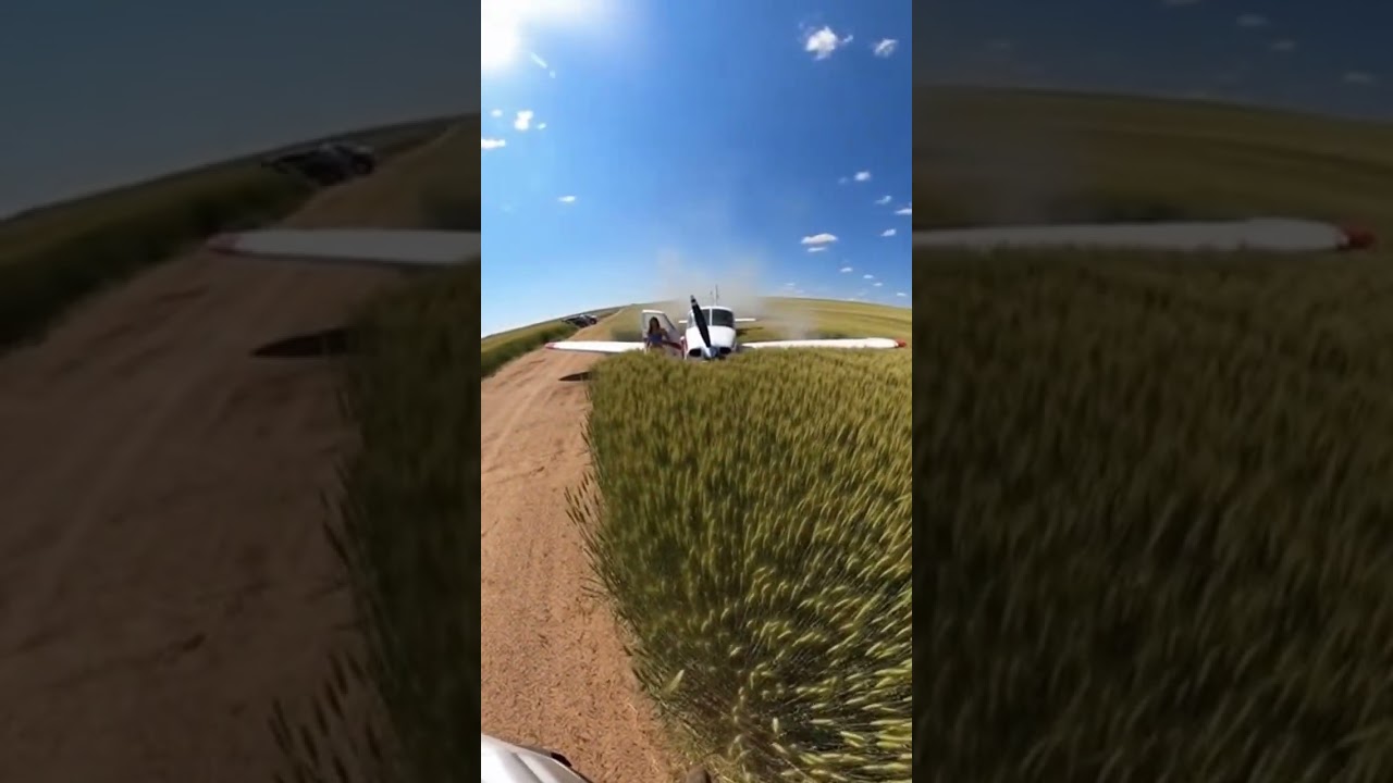 Small-Plane Crash&mdash;Rescue Unfolds