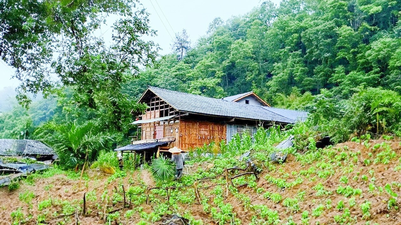 Shock! What Happened to the Single Man/ The Wooden House He Renovated Got Burned Down