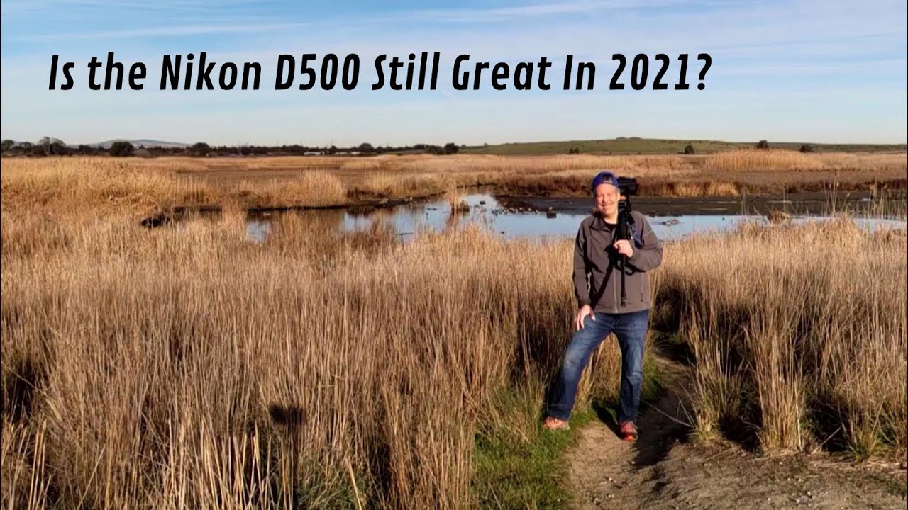 Is the Nikon D500 Still Great in 2021?