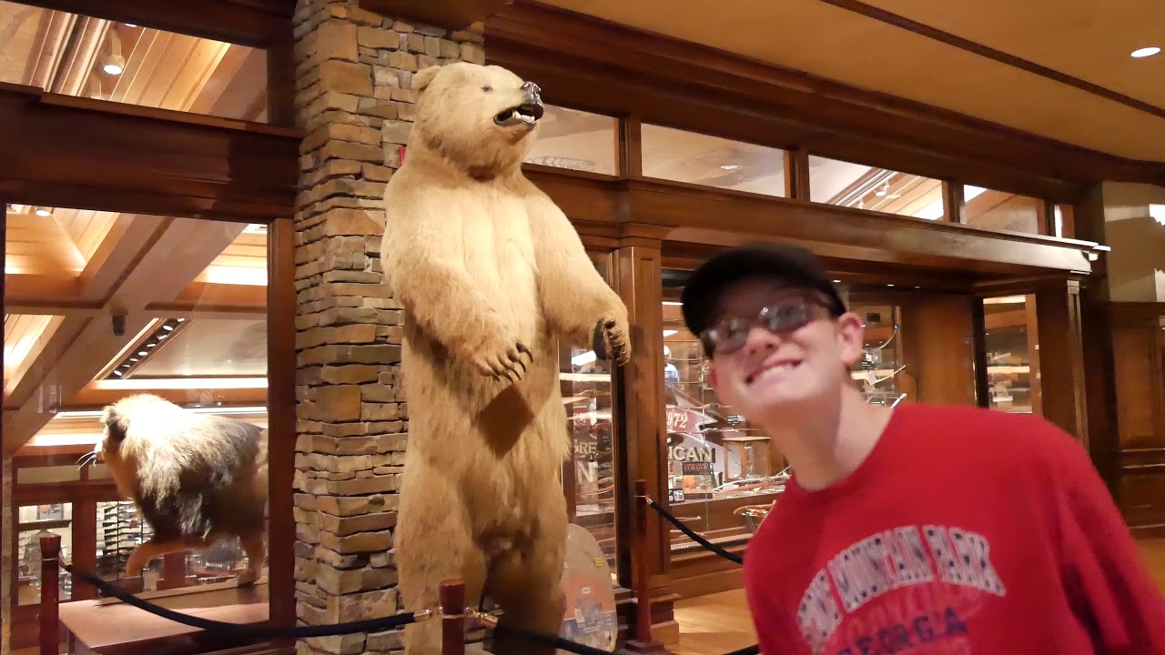 The Archery Hall of Fame at Bass Pro Shop in 4K