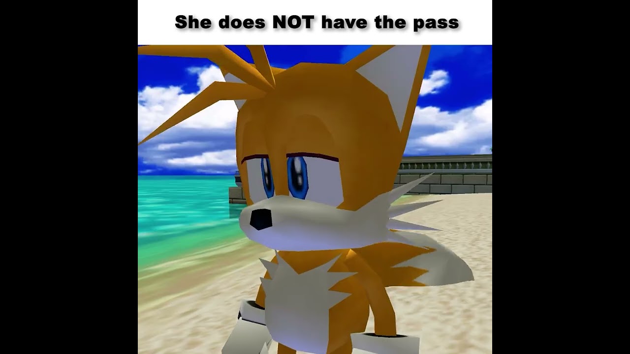 Shadow's Cat #sonic #memes