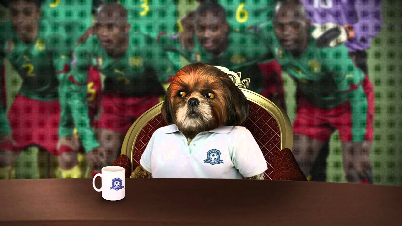 Camarões - Grupo A - Copa Aleixo