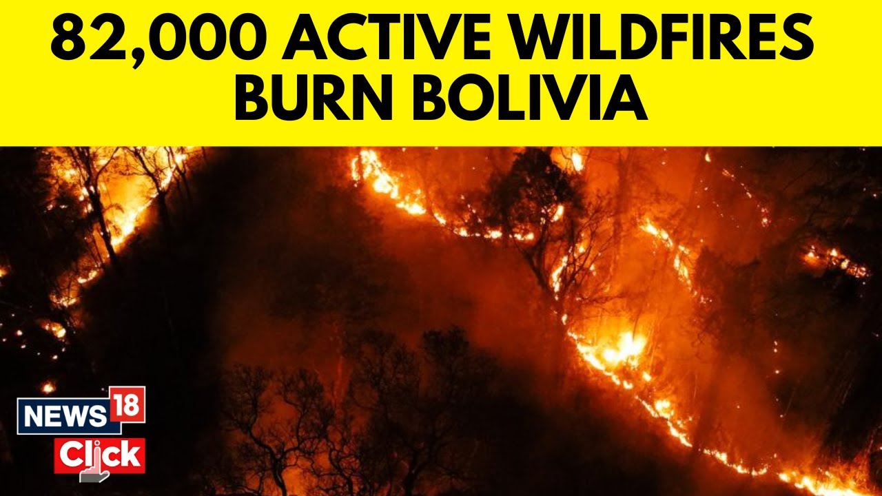 Bolivia Wildfire News | Bolivia Wildfires Burn Record Area, Scorching Homes And Farms | N18G