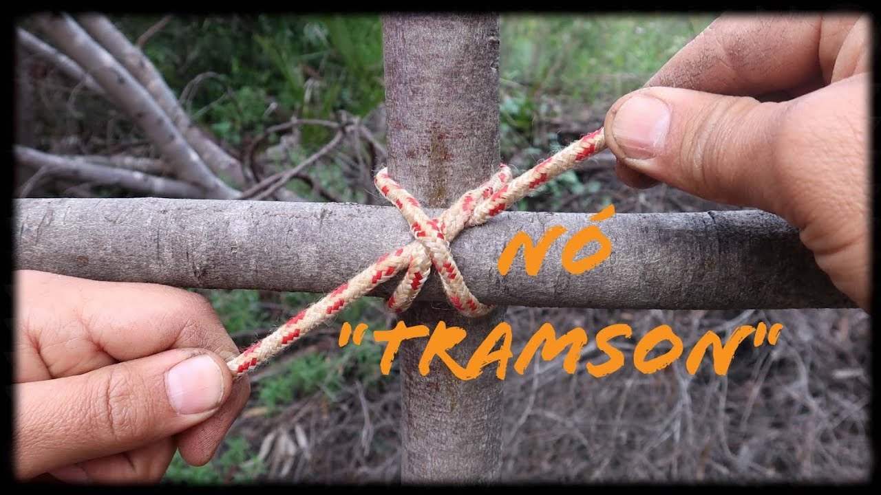 N&oacute; constritor e N&oacute; transom (Amarra&ccedil;&atilde;o travessa)