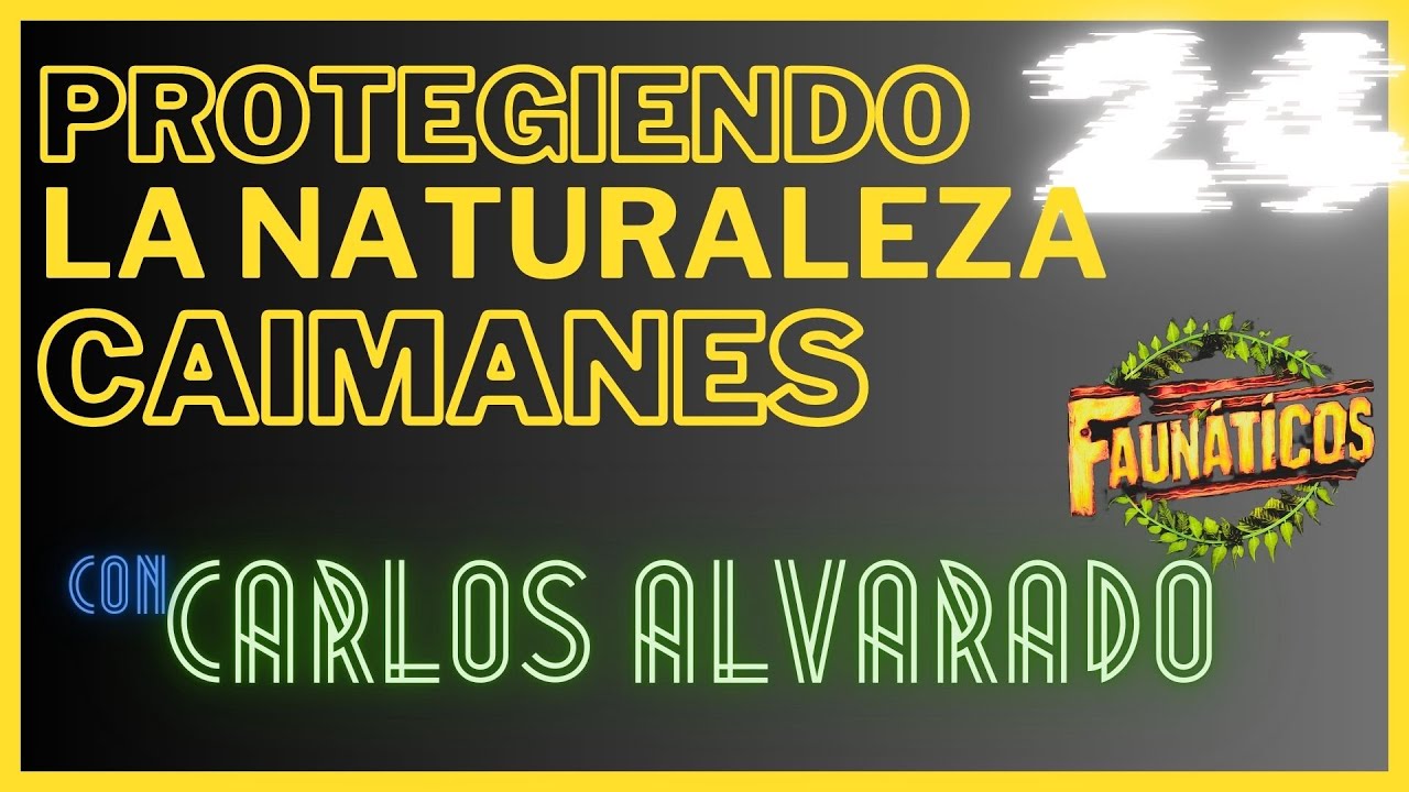 Vida Salvaje en Venezuela | Faunáticos #24