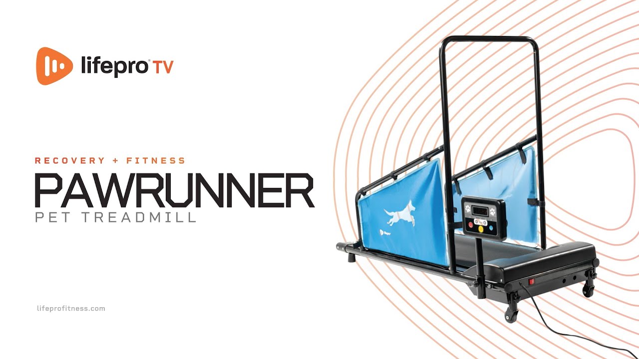 How to assemble your Pawrunner Dog Treadmill for small dogs