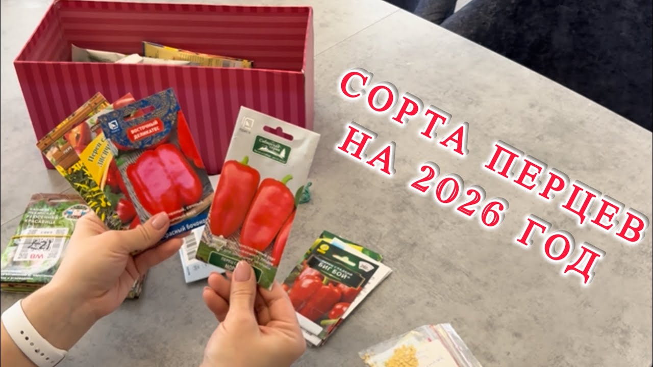 21.02.26.г. Какие перцы буду сеять в этом году 🫑🌶️