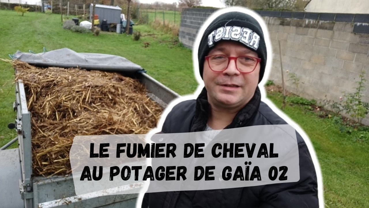 Les Intérêts du Fumier de Cheval au Potager