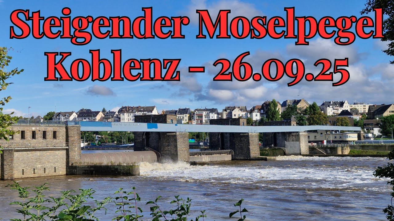 Moselstaustufe Koblenz - Die Mosel steigt, die Strömung nimmt zu (26.09.25)