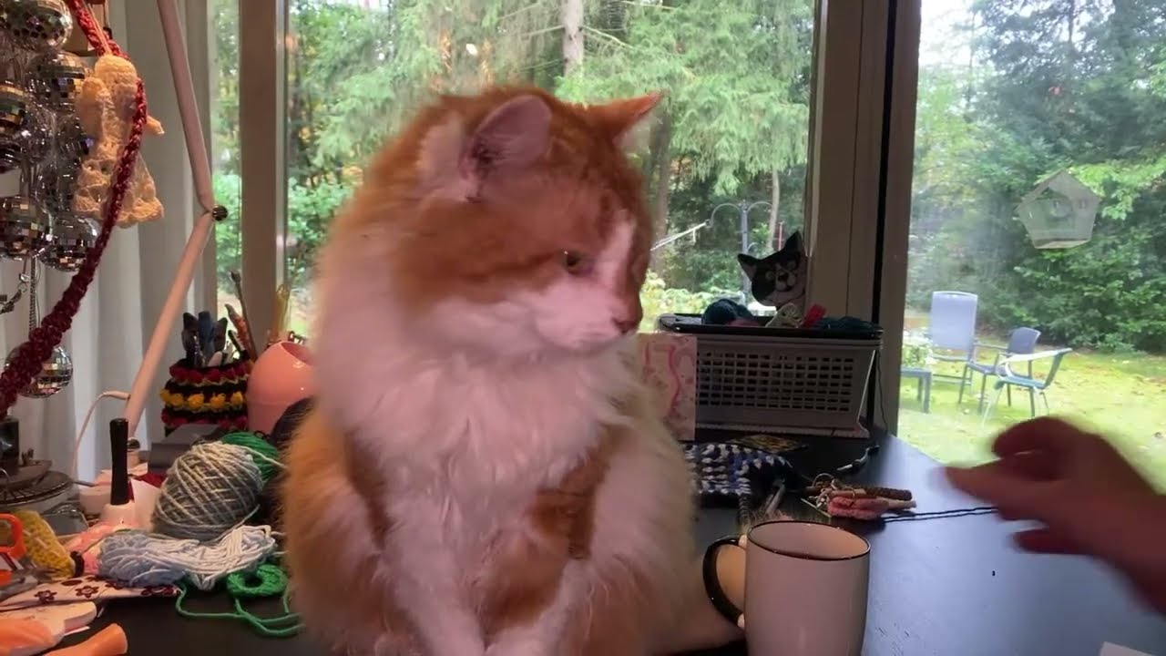 #3144 Koffiepraatjes en theeleutjes bij #Maakhetmetmiranda
