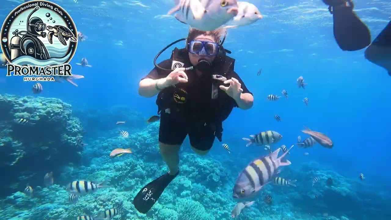 PADI Open Water Course, Hurghada Try Dive, Boat trip, Hurghada Dive center, Pro Master Dive Club