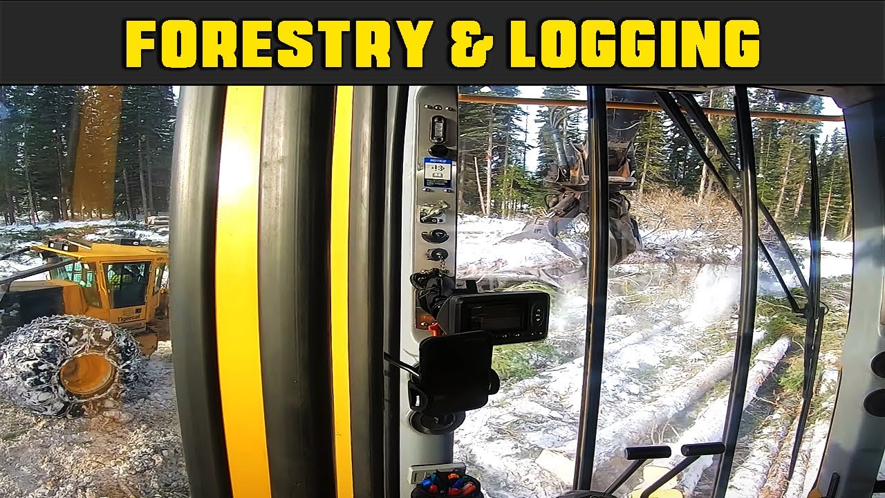 It Takes Many Years To Get This Smooth & Relaxed In A Tigercat 880