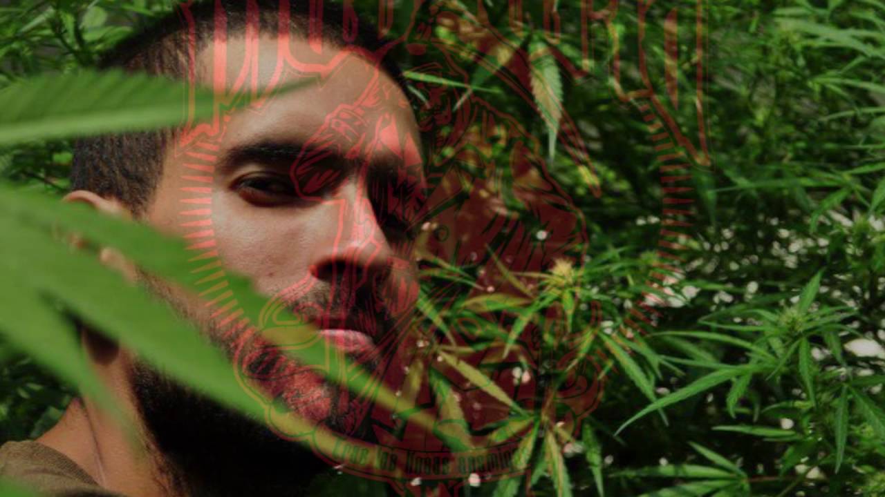 MUSCARIA Feat Marmota- Vamo a ver (hardcore version)