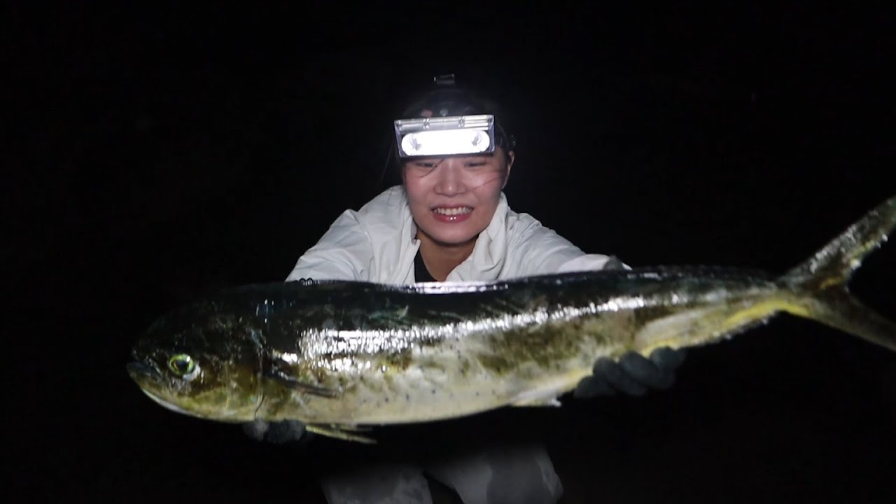 皮皮赶海碰到一条大鱼，这看起来是真的漂亮呀，比鲈鱼还要值钱呢