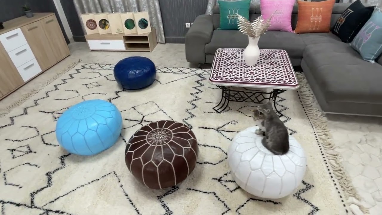 10 Creative Ways to Style Your English Leather Moroccan Pouf